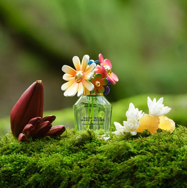 DAISY WILD INTENSE Парфюмерная вода